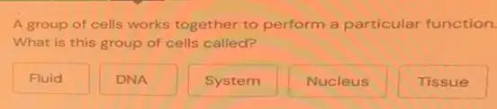 A group of cells works together to perform a particular function.
What is this group of cells called?
Fluid
DNA
System
Nucleus
Tissue