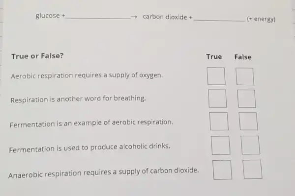 gutcose+arrow catton diondice-arrow vert +eneggl
True or False?
Aerobic respiration requires a supply of oxygen.
square 
square 
Respiration is another word for breathing.
square 
square 
Fermentation is an example of aerobic respiration.
square 
square 
square 
square 
square 
square