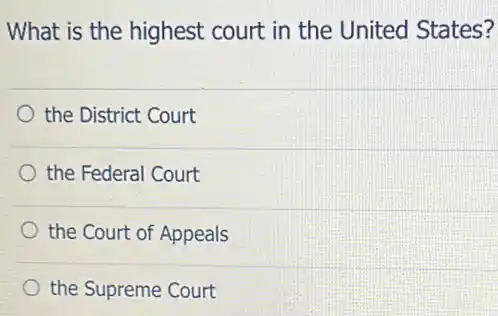 What is the highest court in the United States?
the District Court
the Federal Court
the Court of Appeals
the Supreme Court