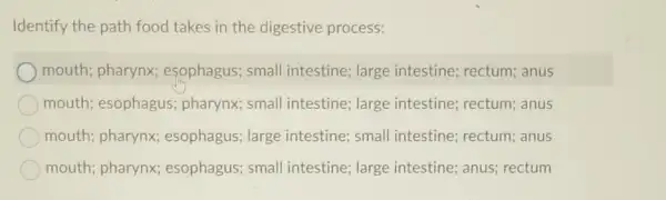 Identify the path food takes in the digestive process:
mouth; pharynx;esophagus; small intestine; large intestine; rectum; anus
mouth; esophagus;pharynx; small intestine; large intestine; rectum; anus
mouth; pharynx;esophagus; large intestine; small intestine; rectum; anus
mouth; pharynx;esophagus; small intestine; large intestine; anus; rectum