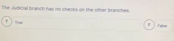 The Judicial branch has no checks on the other branches.
True
F False