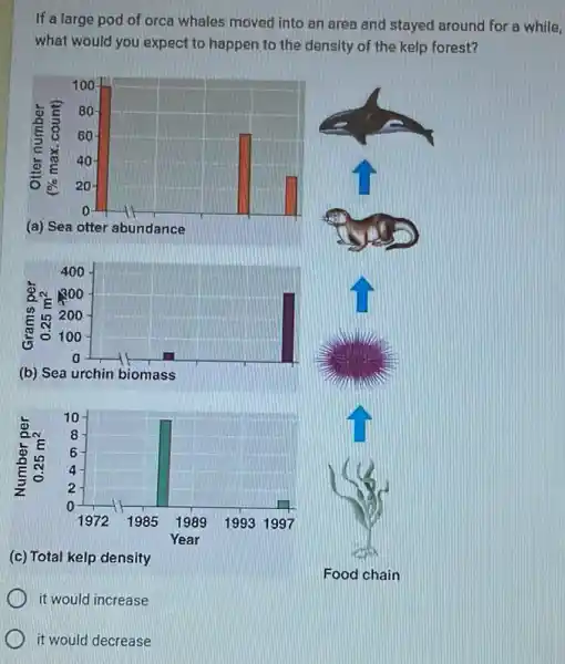 If a large pod of orca whales moved into an area and stayed around for a while,
what would you expect to happen to the density of the kelp forest?
(c) Total kelp density
it would increase
it would decrease