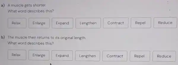 a) A muscle gets shorter.
What word describes this?
Relax
Enlarge
Expand
Lengthen
Contract
Repel
Reduce
b) The muscle then returns to its original length.
What word describes this?
Relax
Enlarge
Expand
Lengthen
Contract
Repel
Reduce