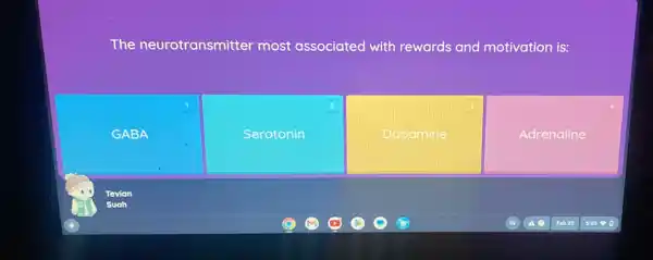 The neurotransmitter most associated with rewards and motivation is:
1
GABA
2
Serotonin
Dopamine
Adrenaline