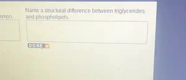 nmon.
square 
Name a structural difference between triglycerides
and phospholipids.
square 
DONE V