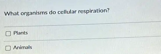 What organisms do cellular respiration?
Plants
Animals