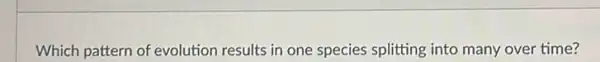 Which pattern of evolution results in one species splitting into many over time?