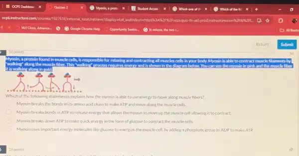 a protein found in muscle cells, is responsible for relaxing and contracting all muscles cells in your body. Myosin is able to contract muscle
"walking" along the muscle fiber
shown in the	below.You see the myosin in
along in gold.
Which of the following statements explains how the myosin is able to use energy to move along muscle fibers?
Myosin breaks the bonds in its amino acid chain to make ATP and move along the muscle cells.
Myosin breaks bonds in ATP to release energy that allows the myosin to move up the muscle cell allowing it to contract.
Myosin breaks down ATP to make quick energy in the form of glucose to contract the muscle cells.
Myosin uses important energy molecules like glucose to energize the muscle cell by adding a phosphate group to ADP to make ATP.
10 points
10 points