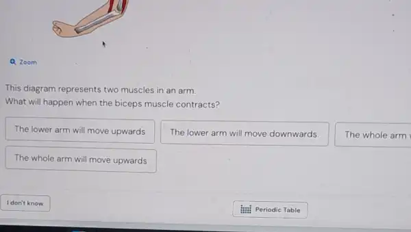 Q. Zoom
This diagram represents two muscles in an arm.
What will happen when the biceps muscle contracts?
The lower arm will move upwards
Thelowerarmwillmovedownwards
The whole arm
The whole arm will move upwards