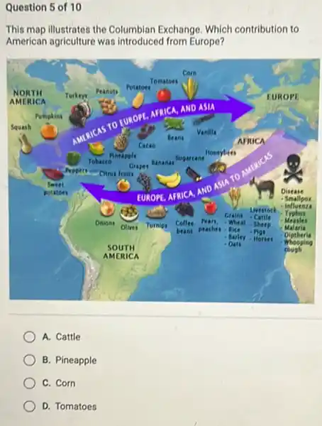 Question 5 of 10
This map illustrateo the Columbian Exchange. Which contribution to
American agriculture was introduced from Europe?
A. Cattle
B. Pineapple
C. Corn
D. Tomatoes