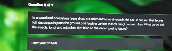 Question 8 d9
In a woodland ecosystem, trees draw nourishment from minerals in the soil. In autumn their leaves
fall, decomposing into the ground and feeding various insects, fungi and microbes. What do we call
the insects, fungi and microbes that feed on the decomposing leaves?
Enter your answer