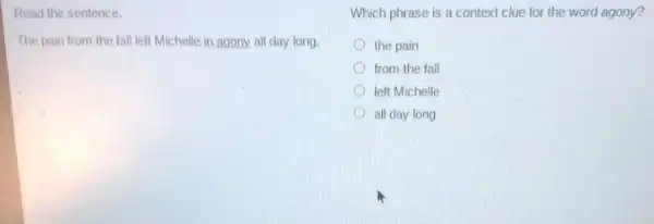 Read the sentence.
The pain from the fall left Michelle in agony, all day long.
Which phrase is a context clue for the word agony?
the pain
from the fall
left Michelle
all day long