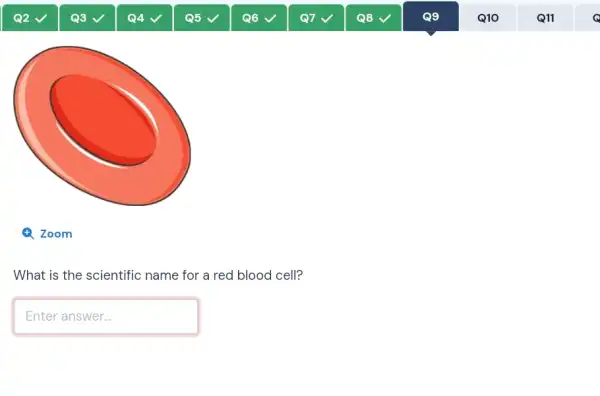 What is the scientific name for a red blood cell?
Enteranswer