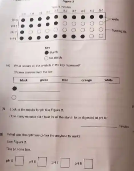 square 
square 
square 
square 
square 
square 
square 
square 
square 
square 
(e) What colours do the symbols in the key represent?
Choose answers from the box.
__
__
Look at the results for pH 6 in Figure 2.
How many minutes did it take for all the starch to be digested at pH6'
__
minutes
9) What was the optimum pH for the amylase to work?
Use Figure 2
Tick (surd ) one box.
pH5 square  pH6 square  PH7 square  pH8 square