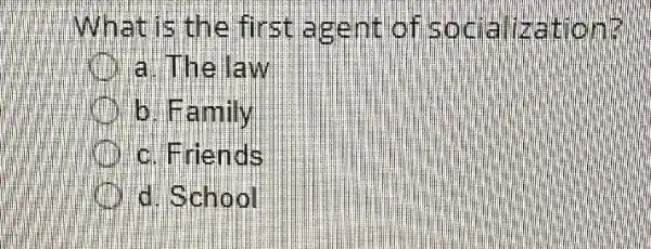 What is th e first agen t of so chamza tioma
a. Thela win
b. Family
C. Firien dk
d. Scho ol