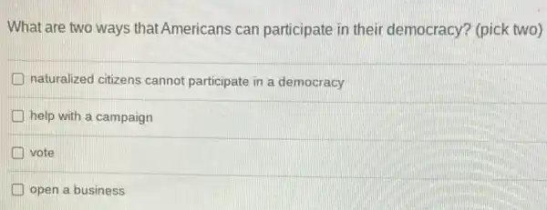 What are two ways that Americans can participate in their democracy? (pick two)
naturalized citizens cannot participate in a democracy
help with a campaign
vote
open a business