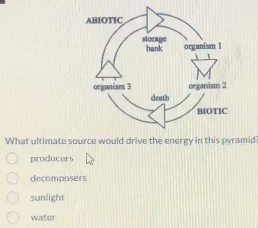 What ultimate source would drive the energy in this pyramid?
producers
decomposers
sunlight
water