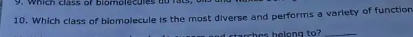 10. Which class of biomolecule is the most diverse and performs a variety of function