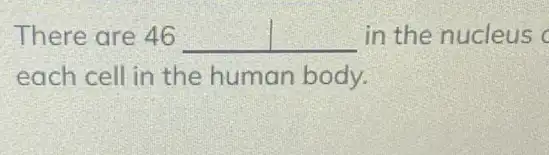 There are 46 __ in the nucleus
each cell in the human body.