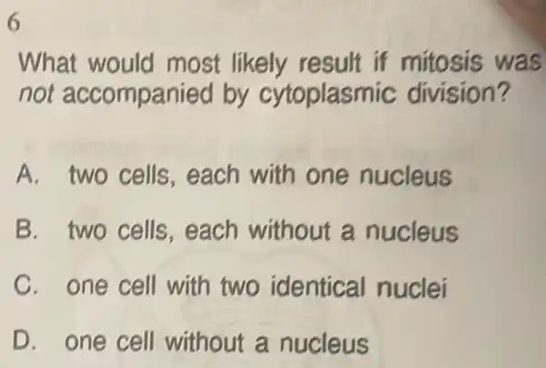 6
What would m result if mitosis was
not accompa nied by cytoplasm ic division?
A. two cells ,each with one nucleus
B. two cells , each without a nucleus
C. one cell with two identical nuclei
D. one cell without a nucleus