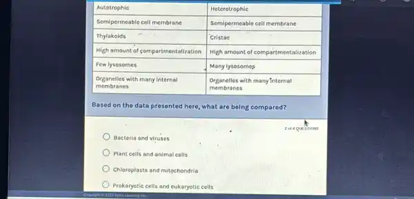 Autotrophic & Heterotrophic 
 Semipermeable cell membrane & Semipermeable cell membrane 
 Thylakoids & Cristae 
 High amount of compartmentalization & High amount of compartmentalization 
 Few lysosomes & Many lysosomes 
 }(l)
Organelles with many internal 
membranes
 & 
Organelles with many internal 
membranes
 


Based on the data presented here, what are being compared?
2 of 4 quesnons
Bacteria and viruses
Plant cells and animal cells
Chloroplasts and mitochondria
Prokaryotic cells and eukaryotic cells