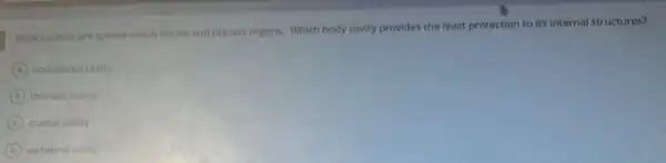 Body cavilies are spaces which house and protect organs Which body cavity provides the least protection to its internal structures?
A abdominal cavity
B thoracic cavity
C cranial cavity
D vertebral cavity
