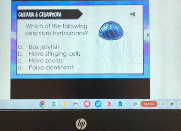 CMDARIA &CTEMOPTIORA
Which of the following
describes hydrozoans?
a. Box jellyfish
b. Have stinging cells
c. Have zooids
d. Polyp dominant