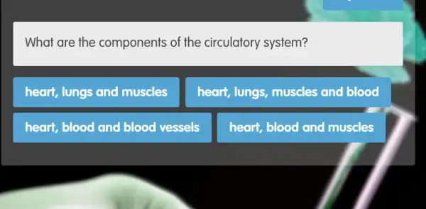 What are the components of the circulatory system?
heart, lungs and muscles
heart, lungs, muscles and blood
heart, blood and blood vessels
heart, blood and muscles