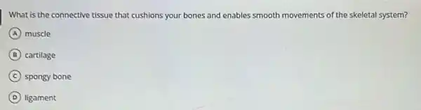 What is the connective tissue that cushions your bones and enables smooth movements of the skeletal system?
A muscle
B cartilage
C spongy bone
D ligament