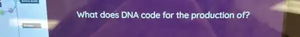 What does DNA code for the production of?