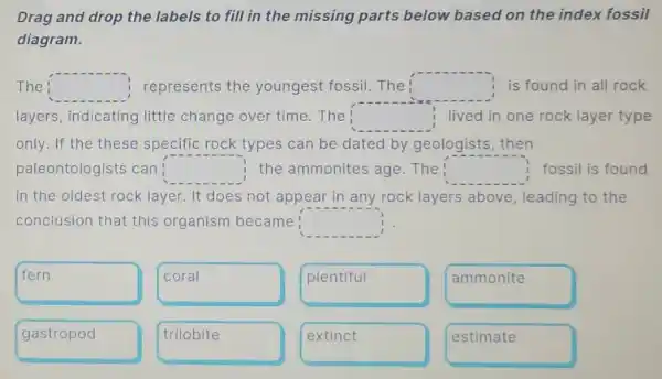 Drag and drop the labels to fill in the missing parts below based on the index fossil
diagram.
The square  represents the youngest fossil The square  is found in all rock
layers, indicating little change over time.The square  lived in one rock layer type
only. If the these specific rock types can be dated by geologists, then
paleontologists can square  the ammonites age . The square  fossil is found
in the oldest rock layer. It does not appear in any rock layers above , leading to the
conclusion that this organism became square 
fern
coral
plentiful
ammonite
gastropod
trilobite
extinct
estimate