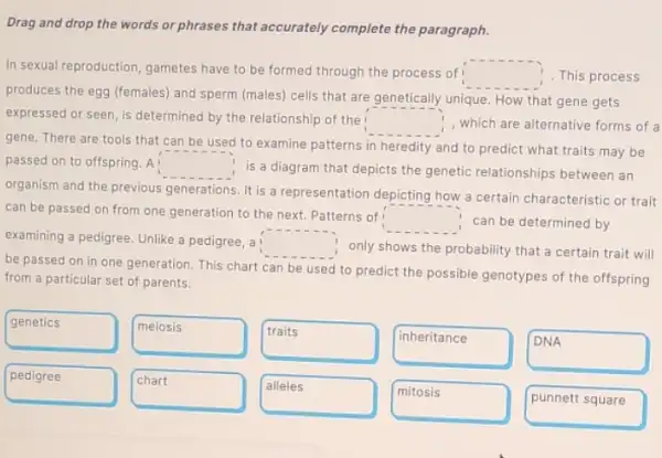 Drag and drop the words or phrases that accurately complete the paragraph.
In sexual reproduction, gametes have to be formed through the process of
square  This process
produces the egg (females)and sperm (males) cells that are genetically unique . How that gene gets
expressed or seen, is determined by the relationship of the square  1, which are alternative forms of a
gene. There are tools that can be used to examine patterns in heredity and to predict what traits may be
. A square 
is a diagram that depicts the genetic relationships between an
organism and the previous generations. It is a representation depicting how a certain characteristic or trait
can be passed on from one generation to the next. Patterns of
square  can be determined by
examining a pedigree. Unlike a pedigree, a square 
only shows the probability that a certain trait will
be passed on in one generation. This chart can be used to predict the possible genotypes of the offspring
from a particular set of parents.
genetics
meiosis
traits
inheritance
DNA
pedigree
chart
alleles
mitosis
punnett square