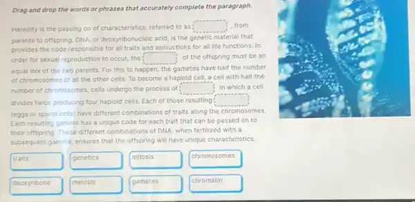 Drag and drop the words or phrases that accurately complete the paragraph.
Heredity is the passing on of characteristics, referred to as! square  from
parents to offspring. DNA or deoxyribonucleic acid, is the genetic material that
provides the code responsible for all traits and instructions for all life functions . In
order for sexual reproduction to occur, the square  of the offspring must be an
equal mix of the two parents. For this to happen, the gametes have half the number
of chromosomes of all the other cells. To become a haploid cell a cell with half the
number of chromosomes, cells undergo the process of square  in which a cell
divides twice producing four haploid cells. Each of those resulting: square 
(eggs or sperm cells)have different combinations of traits along the chromosomes.
Each resulting gamete has a unique code for each trait that can be passed on to
their offspring. These different combinations of DNA, when fertilized with a
subsequent gamete, ensures that the offspring will have unique characteristics.
traits
genetics
mitosis
chromosomes
deoxyribose
meiosis
gametes
chromatin