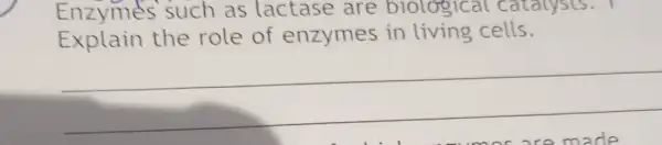 Enzymes such as lactase are biological catalysts. I
Explain the role of enzymes in living cells.
__