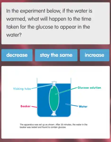 In the experiment below, if the water is
warmed, what will happen to the time
taken for the glucose to appear in the
water?
decrease
stay the same
increase
The apparatus was set up as shown. After 30 minutes, the water in the
beaker was tested and found to contain glucose.