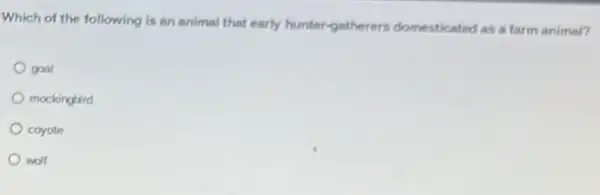 Which of the following is an animal that early hunter-gatherers domesticated as a farm animal?
goat
mockingbird
coyote
wolf