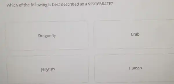 Which of the following is best described as a VERTEBRATE?
Dragonfly
Crab
Jellyfish
Human