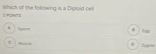 Which of the following is a Diploid cell
2PONTS
A jj Sperm
B ) Eag
C ) I Muscle
D ) Zygote