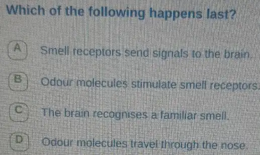 Which of the following happens last?
A Smell receptors send signals to the brain.
B Odour molecules stimulate smell receptors
The brain recognises a familiar smell.
D Odour molecules travel through the nose