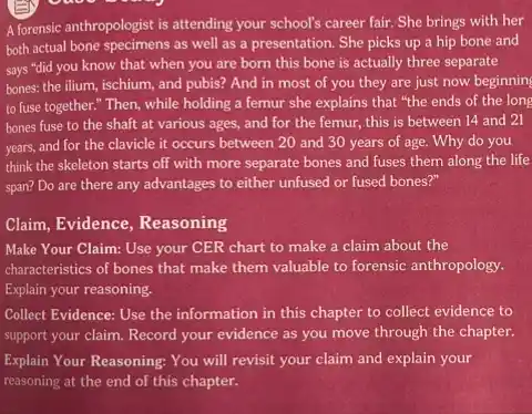 A forensic anthropologist is attending your school's career fair. She brings with her
both actual bone specimens as well as a presentation. She picks up a hip bone and
says "did you know that when you are born this bone is actually three separate
bones: the ilium, ischium,and pubis? And in most of you they are just now beginning
to fuse together." Then while holding a femur she explains that "the ends of the long
bones fuse to the shaft at various ages,and for the femur this is between 14 and 21
years, and for the clavicle it occurs between 20 and 30 years of age. Why do you
think the skeleton starts off with more separate bones and fuses them along the life
span? Do are there any advantages to either unfused or fused bones?
Claim, Evidence, Reasoning
Make Your Claim: Use your CER chart to make a claim about the
characteristics of bones that make them valuable to forensic anthropology.
Explain your reasoning.
Collect Evidence: Use the information in this chapter to collect evidence to
support your claim. Record your evidence as you move through the chapter.
Explain Your Reasoning: You will revisit your claim and explain your
reasoning at the end of this chapter.