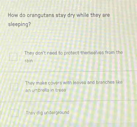 How do orangutans stay dry while they are
sleeping?
They don't need to protect themselves from the
rain
They make covers with leaves and branches like
an umbrella in trees
They dig underground