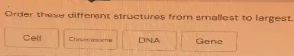 Order these different structures from smallest to largest.
Cell
Chromosome me
DNA
Gene