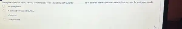 In the patellar tendon reflex, sensory axon terminals release the chemical transmitter __ on to dendrites of the alpha motor neuron that innervates the quadriceps muscle
norepinephrine
7-amino butyric acid (GABA)
glutamate
acetylcholine