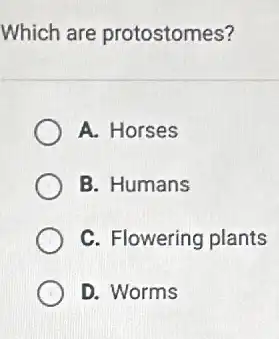 Which are protostomes?
A. Horses
B. Humans
C. Flowering plants
D. Worms