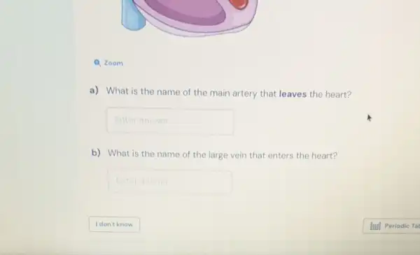 Q. Zoom
a) What is the name of the main artery that leaves the heart?
Enteranswer
b) What is the name of the large vein that enters the heart?
Enteranswer