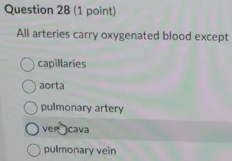 Question 28 (1 point)
All arteries carry oxygenated blood except
capillaries
aorta
pulmonary artery
very cava
pulmonary vein