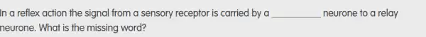 In a reflex action the signal from a sensory receptor is carried by a __ neurone to a relay
neurone. What is the missing word?