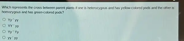 Which represents the cross between parent plants if one is heterozygous and has yellow-colored pods and the other is
homozygous and has green-colored posts?
Yy'yy
YY'yy
Yy'Yy
yy'yy