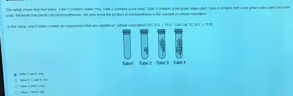 The setup shows four test tubes. Tube 1 contains water only. Tube 2 contains a live snail. Tube 3 contains a live green water plant. Tube 4 contains both a live green water plant and a live
snail. We know that plants can photosynthesize. We also know the product of photosynthesis is the reactant of cellular respiration
In this setup, which tubes contain an organism(s)that are capable of cellular respiration? (SC.912.L.189-Sub Cat SC.912 L. 188)
A tubes 3 and 4 only
tubes 2,3, and 4, only
tubes 2 and 4 only
tubes 1 and 2, only