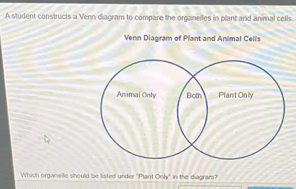 A student constructs a Venn diagram to compare the organelles in plant and animal cells.
Venn Diagram of Plant and Animal Cells
square 
Animal Only	Plant Only Plant Only
Which organelle should be listed under "Plant Only in the diagram?